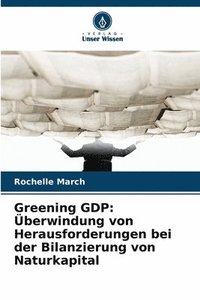 bokomslag Greening GDP