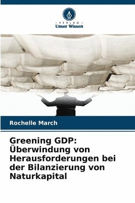 bokomslag Greening GDP: Überwindung von Herausforderungen bei der Bilanzierung von Naturkapital