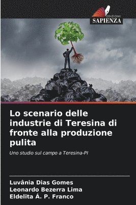 Lo scenario delle industrie di Teresina di fronte alla produzione pulita 1