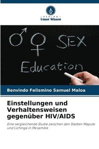 bokomslag Einstellungen und Verhaltensweisen gegenber HIV/AIDS