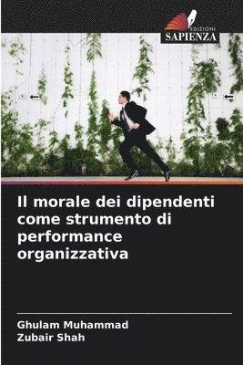 bokomslag Il morale dei dipendenti come strumento di performance organizzativa