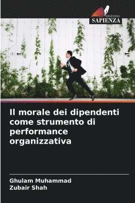 bokomslag morale dei dipendenti come strumento di performance organizzativa