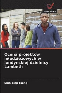 bokomslag Ocena projektów mlodzie&#380;owych w londy&#324;skiej dzielnicy Lambeth