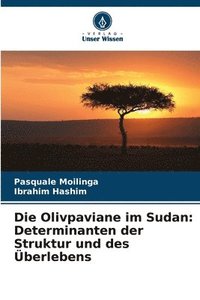 bokomslag Die Olivpaviane im Sudan