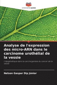 bokomslag Analyse de l'expression des micro-ARN dans le carcinome urothlial de la vessie