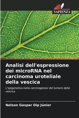 Analisi dell'espressione dei microRNA nel carcinoma uroteliale della vescica 1