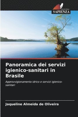 Panoramica dei servizi igienico-sanitari in Brasile 1