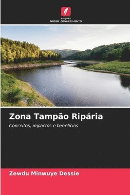 Zona Tampão Ripária 1