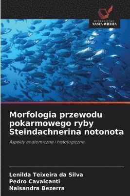 bokomslag Morfologia przewodu pokarmowego ryby Steindachnerina notonota