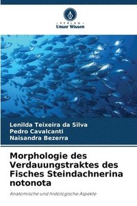 bokomslag Morphologie des Verdauungstraktes des Fisches Steindachnerina notonota