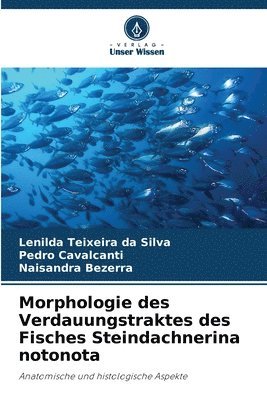 Morphologie des Verdauungstraktes des Fisches Steindachnerina notonota 1