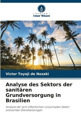 bokomslag Analyse des Sektors der sanitären Grundversorgung in Brasilien