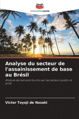 Analyse du secteur de l'assainissement de base au Brésil 1