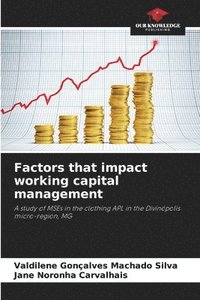 bokomslag Factors that impact working capital management