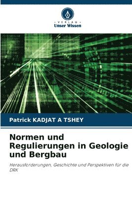 bokomslag Normen und Regulierungen in Geologie und Bergbau