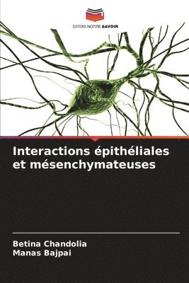 Interactions pithliales et msenchymateuses 1