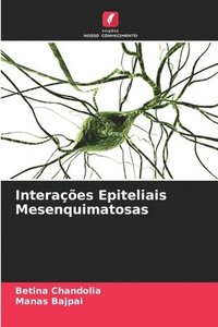 bokomslag Interações Epiteliais Mesenquimatosas