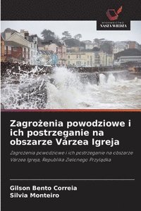 bokomslag Zagro&#380;enia powodziowe i ich postrzeganie na obszarze Várzea Igreja