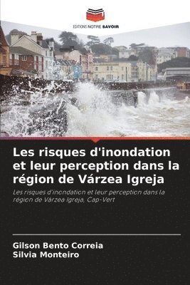 bokomslag Les risques d'inondation et leur perception dans la rgion de Vrzea Igreja