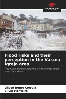 bokomslag Flood risks and their perception in the Várzea Igreja area