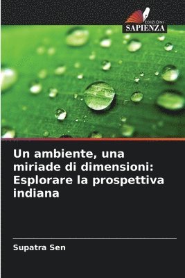 bokomslag Un ambiente, una miriade di dimensioni: Esplorare la prospettiva indiana