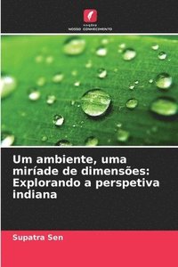 bokomslag Um ambiente, uma miríade de dimensões: Explorando a perspetiva indiana