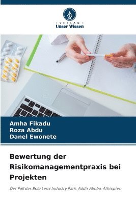 bokomslag Bewertung der Risikomanagementpraxis bei Projekten