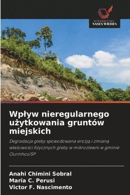 bokomslag Wplyw nieregularnego u&#380;ytkowania gruntów miejskich