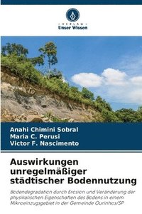 bokomslag Auswirkungen unregelmiger stdtischer Bodennutzung