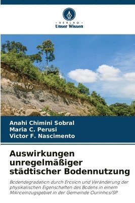 bokomslag Auswirkungen unregelmäßiger städtischer Bodennutzung