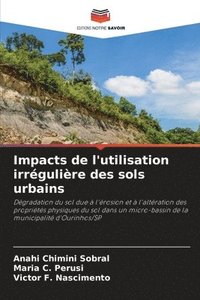 bokomslag Impacts de l'utilisation irrégulière des sols urbains