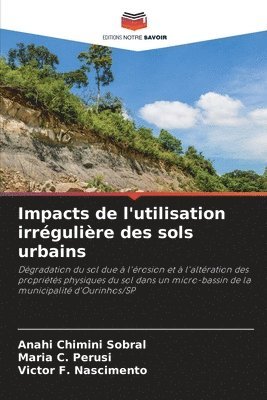 Anahi Chimini Sobral, Maria C Perusi, Victor F Nascimento, Maria C. Perusi - Impacts de l'utilisation irrégulière des sols urbains, Häftad