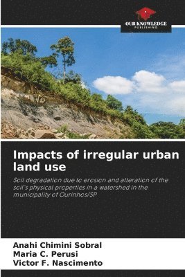 bokomslag Impacts of irregular urban land use