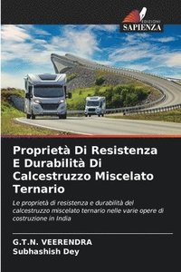 bokomslag Proprietà Di Resistenza E Durabilità Di Calcestruzzo Miscelato Ternario