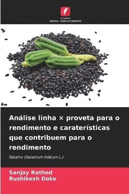 bokomslag Análise linha ¿ proveta para o rendimento e caraterísticas que contribuem para o rendimento