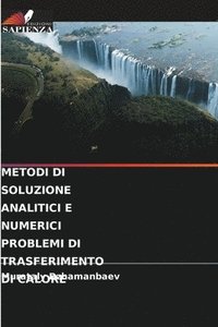 bokomslag Metodi Di Soluzione Analitici E Numerici Problemi Di Trasferimento Di Calore