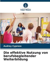 bokomslag Die effektive Nutzung von berufsbegleitender Weiterbildung