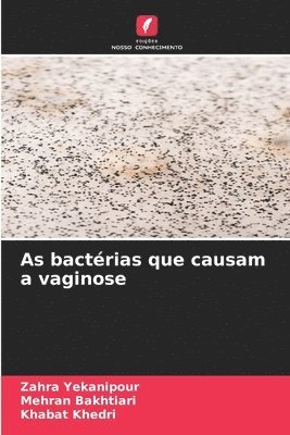 As bactérias que causam a vaginose