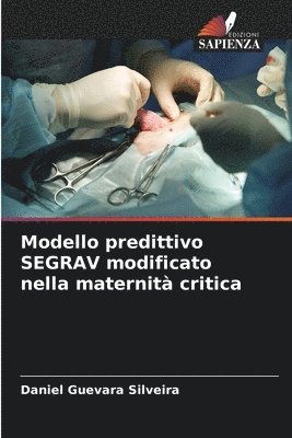 bokomslag Modello predittivo SEGRAV modificato nella maternità critica