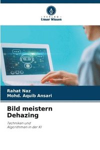 bokomslag Bild meistern Dehazing