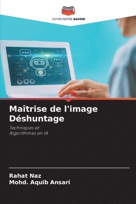 bokomslag Maîtrise de l'image Déshuntage