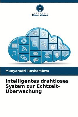 Munyaradzi Rushambwa - Intelligentes drahtloses System zur Echtzeit-Überwachung, Häftad