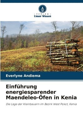 bokomslag Einführung energiesparender Maendeleo-Öfen in Kenia