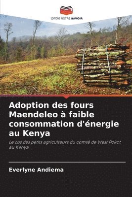 bokomslag Adoption des fours Maendeleo à faible consommation d'énergie au Kenya