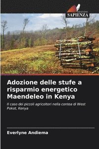 bokomslag Adozione delle stufe a risparmio energetico Maendeleo in Kenya