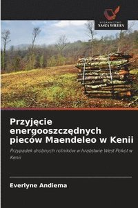 bokomslag Przyj?cie energooszcz?dnych pieców Maendeleo w Kenii