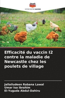 bokomslag Efficacité du vaccin I2 contre la maladie de Newcastle chez les poulets de village