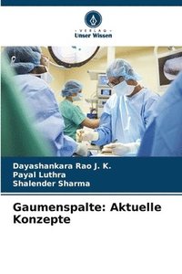 bokomslag Gaumenspalte: Aktuelle Konzepte