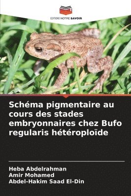 bokomslag Schéma pigmentaire au cours des stades embryonnaires chez Bufo regularis hétéroploïde