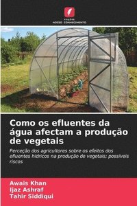 bokomslag Como os efluentes da água afectam a produção de vegetais